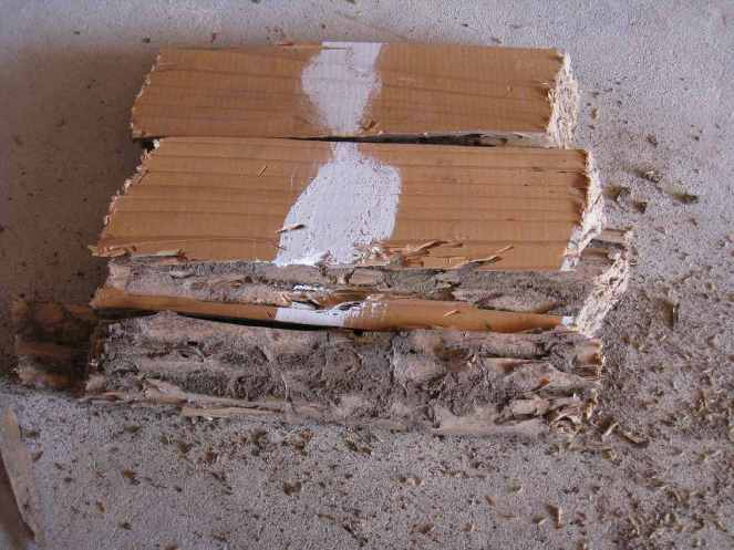 Termite damage and frass