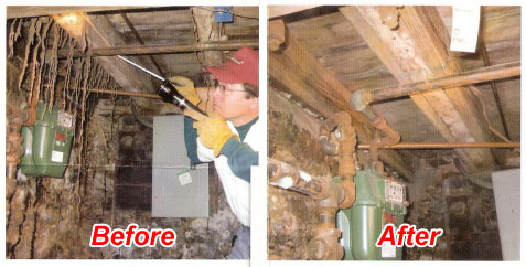 Termite Mudtubes before and after Termite Treatment