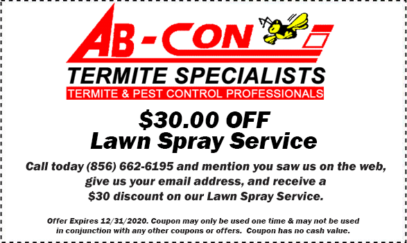 South Jersey Termite Coupon