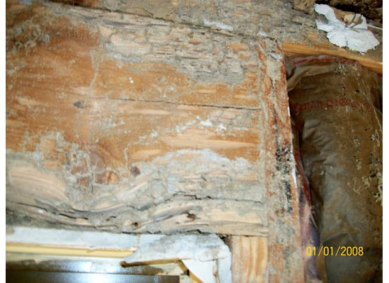 Window frame termite damage